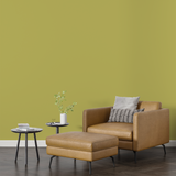 Vopsea Lavabila, Ice Steel, CM-H1.42.68