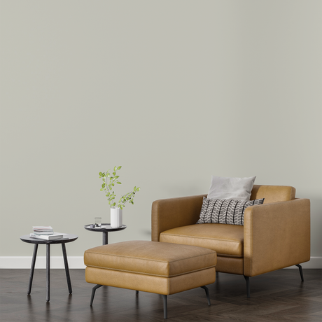 Vopsea Lavabila, Ash Alloy, CM-H2.03.82