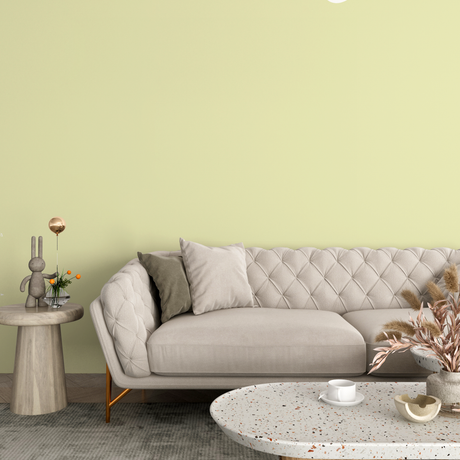 Vopsea Lavabila, Spring Fern, CM-H2.15.85