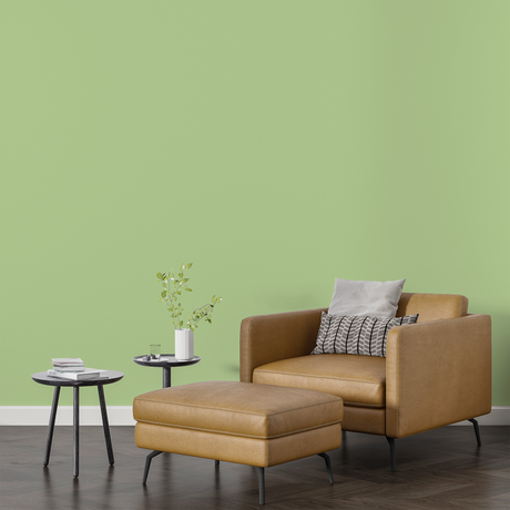 Vopsea Lavabila, Lime Meadow, CM-H2.20.80