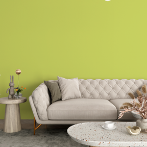 Vopsea Lavabila, Lime Twist, CM-H2.44.74