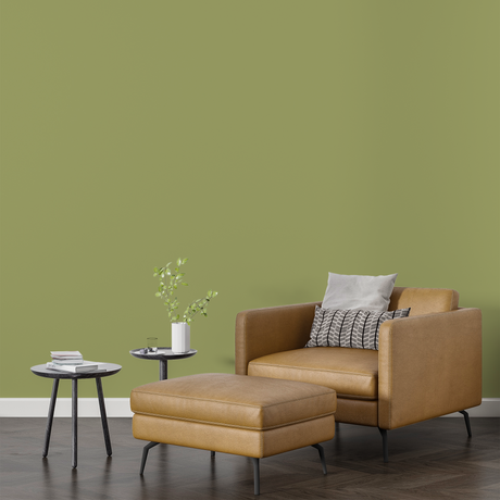 Vopsea Lavabila, Olive Horizon, CM-H3.30.60