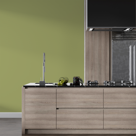 Vopsea Lavabila, Olive Horizon, CM-H3.30.60