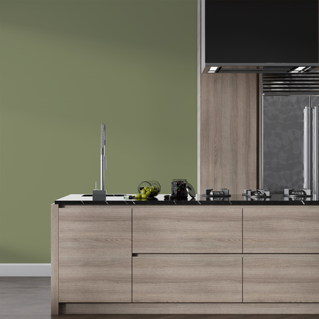 Vopsea Lavabila, Sage Grain, CM-H6.20.49