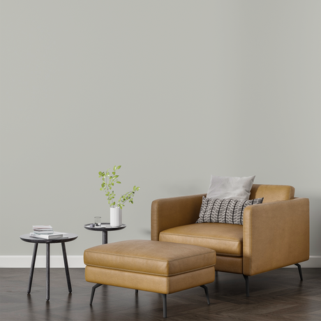 Vopsea Lavabila, Satin Drift, CM-HN.02.77