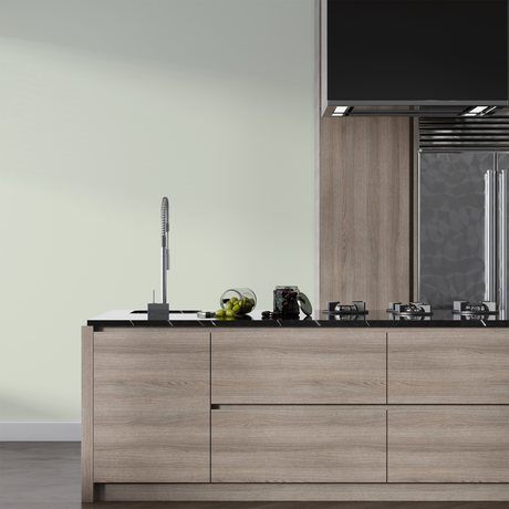 Vopsea Lavabila, Sage Pearl, CM-J2.04.87