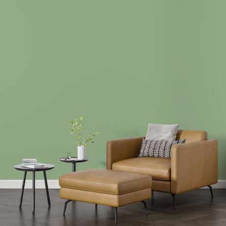 Vopsea Lavabila, Meadow Frost, CM-J9.20.70