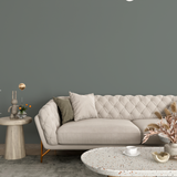 Vopsea Lavabila, Olive Cement, CM-KN.02.40