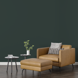 Vopsea Lavabila, Forest Alloy, CM-L0.15.20