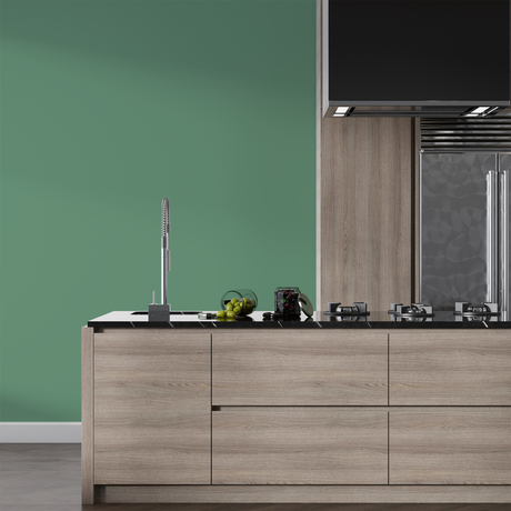 Vopsea Lavabila, Polar Ash, CM-L0.15.55