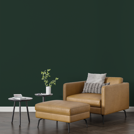 Vopsea Lavabila, Deep Canopy, CM-L2.10.20