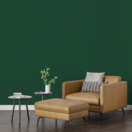 Vopsea Lavabila, Jungle Moss, CM-L2.30.20