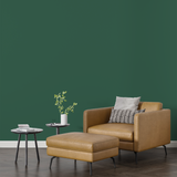 Vopsea Lavabila, Pine Shade, CM-M3.41.25