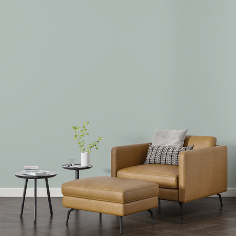 Vopsea Lavabila, Misty Birch, CM-N0.03.77