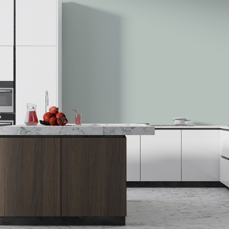 Vopsea Lavabila, Misty Birch, CM-N0.03.77