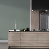 Vopsea Lavabila, Mist Laurel, CM-N1.05.55