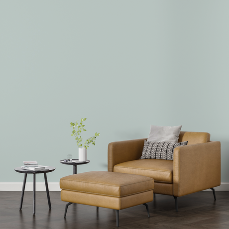 Vopsea Lavabila, Aqua Frost, CM-N5.03.81