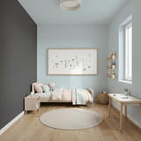 Set Vopsele Colorate Urban Frost & Frosted Silver