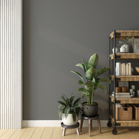 Vopsea Lavabila, Steel Whisper, CM-ON.00.49