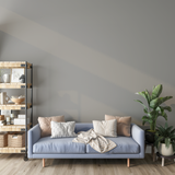 Vopsea Lavabila, Warm Alloy, CM-ON.00.69