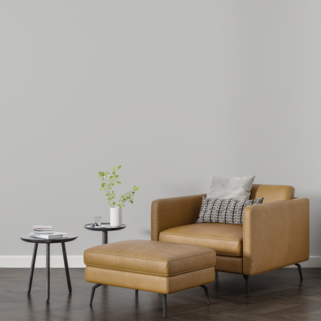 Vopsea Lavabila, Shell Veil, CM-ON.00.81