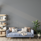 Vopsea Lavabila, Muted Alloy, CM-QN.02.59