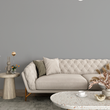 Vopsea Lavabila, Muted Alloy, CM-QN.02.59