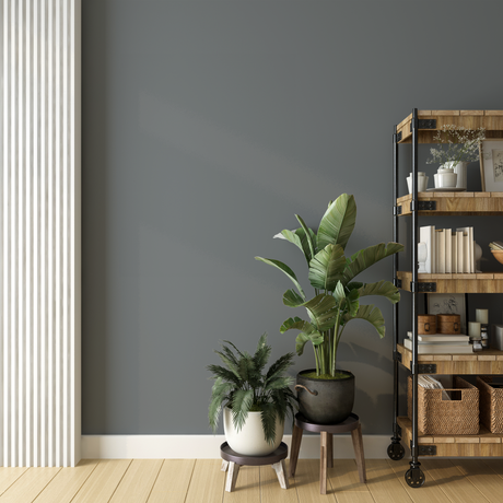 Vopsea Lavabila, Slate Armor, CM-S0.04.48