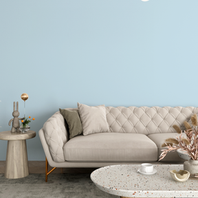 Vopsea Lavabila, Skyfall, CM-S1.10.80