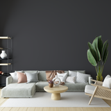 Vopsea Lavabila, Graphite Veil, CM-S5.03.16