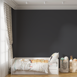 Vopsea Lavabila, Graphite Veil, CM-S5.03.16