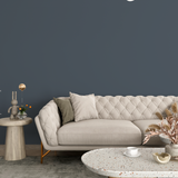 Vopsea Lavabila, Storm Slate, CM-S9.20.21