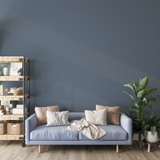 Vopsea Lavabila, Silver Thread, CM-T4.04.55