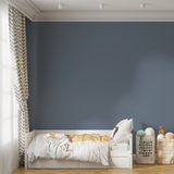 Vopsea Lavabila, Silver Thread, CM-T4.04.55