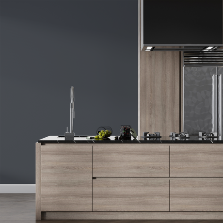 Vopsea Lavabila, Quiet Pewter, CM-T5.05.29