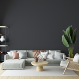 Vopsea Lavabila, Steel Dust, CM-T7.05.25