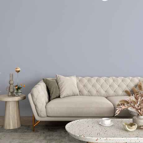 Vopsea Lavabila, Misty Pearl, CM-U5.06.67