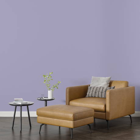 Vopsea Lavabila, Amethyst Dust, CM-V9.11.69