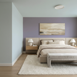 Set Vopsele Colorate Amethyst Dust & Frosted Silver