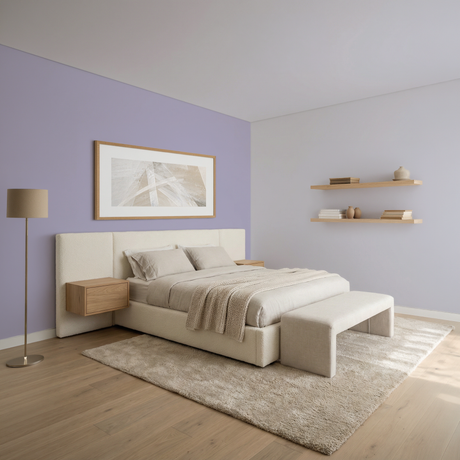 Set Vopsele Colorate Amethyst Dust & Frosted Lilac