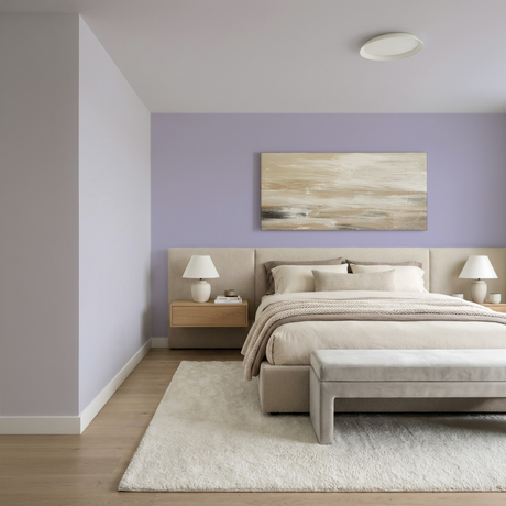 Set Vopsele Colorate Amethyst Dust & Frosted Lilac