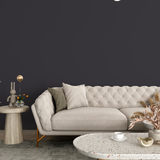 Vopsea Lavabila, Iron Shadow, CM-W0.05.15