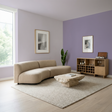 Set Vopsele Colorate Lavender Smoke & Silver Lilac