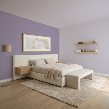 Set Vopsele Colorate Lavender Smoke & Silver Lilac