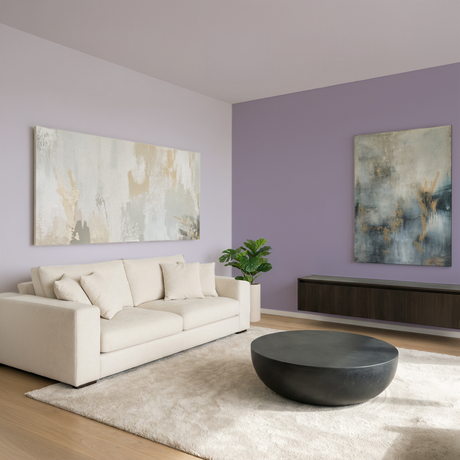 Set Vopsele Colorate Lavender Smoke & Silver Lilac