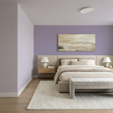 Set Vopsele Colorate Lavender Smoke & Silver Lilac