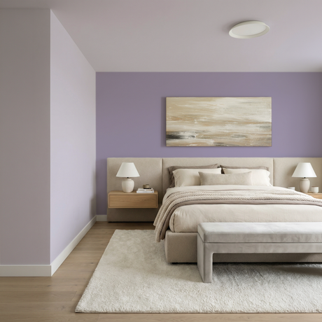 Set Vopsele Colorate Lavender Smoke & Silver Lilac