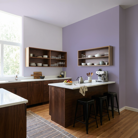 Set Vopsele Colorate Lavender Smoke & Silver Lilac