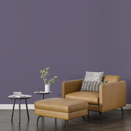 Vopsea Lavabila, Urban Violet, CM-W4.13.37