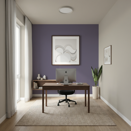Set Vopsele Colorate Urban Violet & Egyptian Cotton
